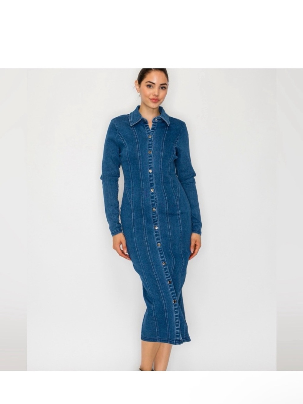 NWT Jennifer Classic Blue Denim Button-Front Shirt Dress L